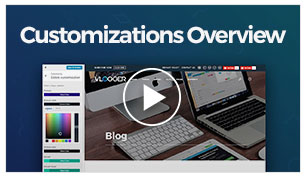 Vlogger - Customizations Overview
